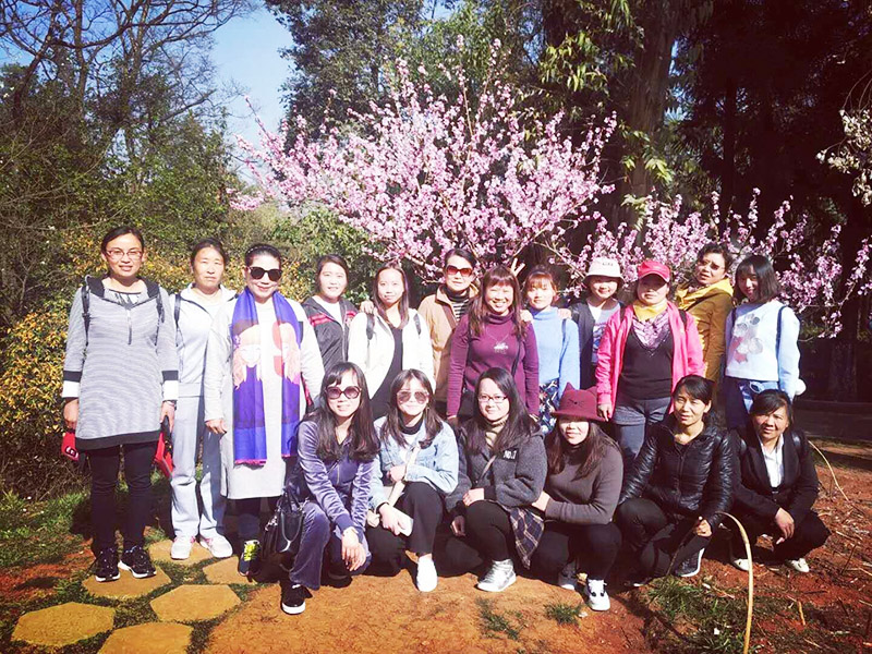 bti体育平台·(中国)官方网站